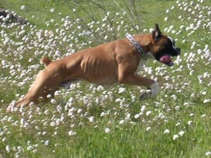 248681_10200308816143864_492823116_n